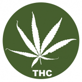 семена на канабис Високо THC