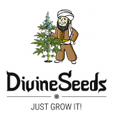 Divine Seeds Fem