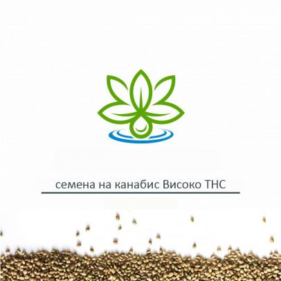 семена-на-канабис-Високо-THC